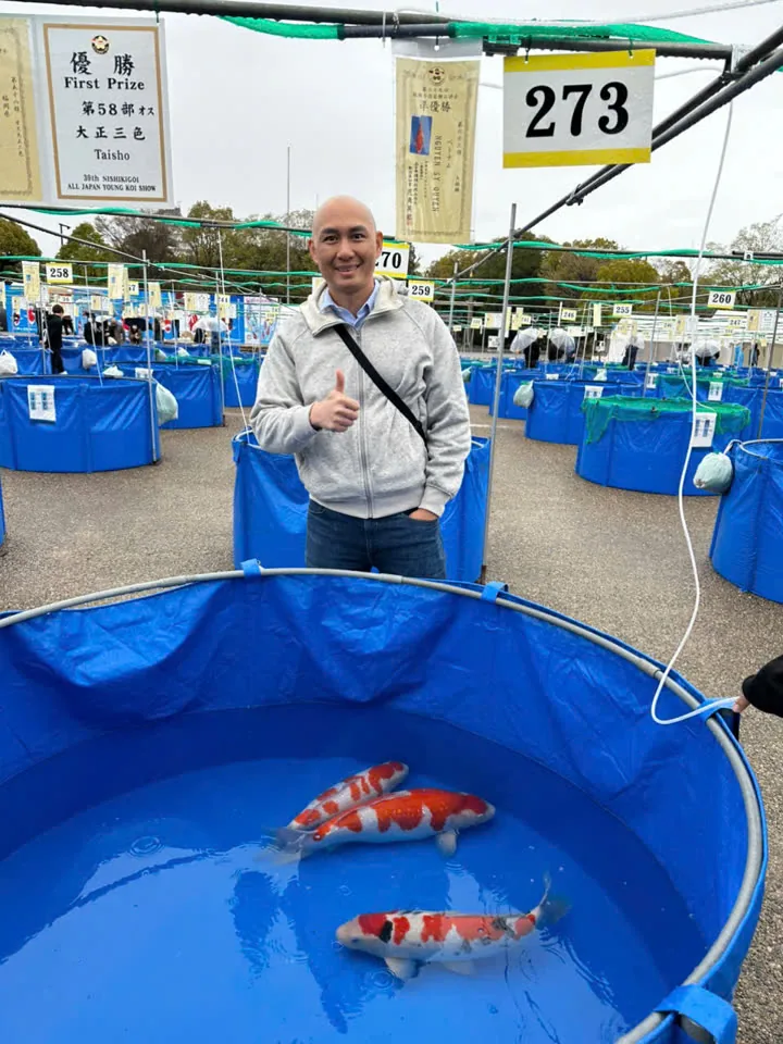 Cá Koi đạt Giải Nhất tại All Japan Young Koi Show