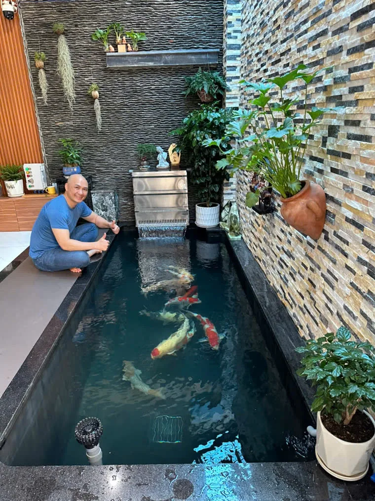 Hồ Koi trong nhà hoàn thiện do Highland Koi Farm thi công