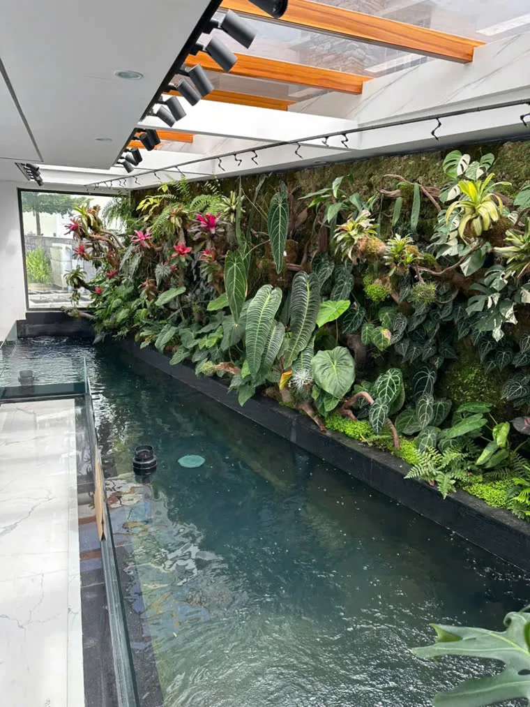 Hồ Koi trong nhà tường cây xanh và vách kính