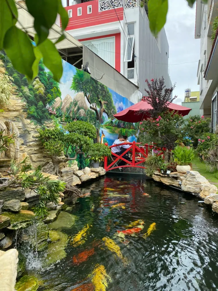 Hồ Koi sân vườn có cầu đỏ và tranh tường phong cảnh