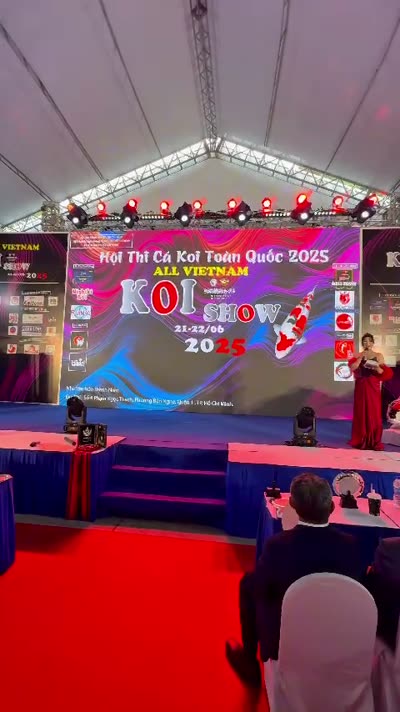 Cá Koi đạt Champion B tại All Vietnam Koi Show 2025 của Highland Koi Farm