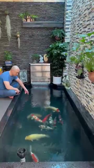 Hồ cá Koi do Highland Koi Farm thi công tại Pleiku